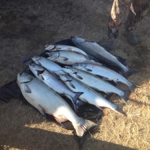 Salmon Oregon Fishing Guide