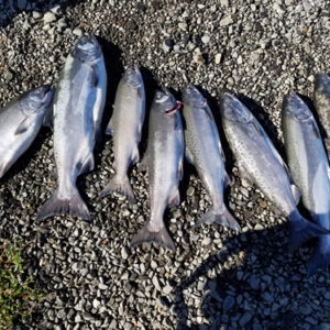 Salmon Oregon Fishing Guide