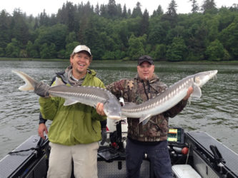 Sturgeon Oregon Fishing Guide