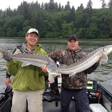 Sturgeon Oregon Fishing Guide